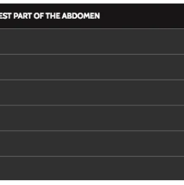 OTC Comfort Back Brace with Rigid Spinal Stays