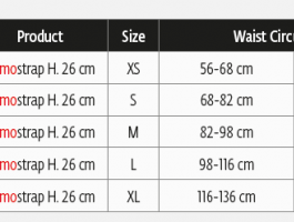DonJoy DJO Immostrap Back Brace with Rigid Stays